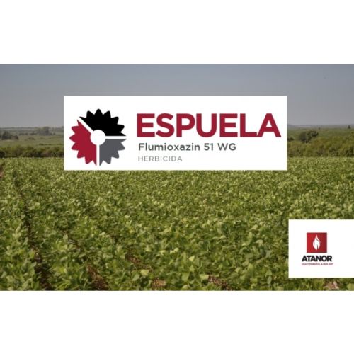 ESPUELA - Flumioxazin 48% | 20 lts