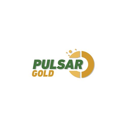 PULSAR GOLD-Lambdacialotrina 25% CS |12 lts